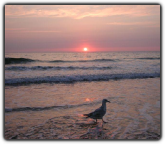 Click to enlarge.. Sunset on Fistral Beach